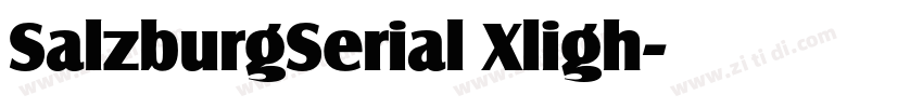 SalzburgSerial Xligh字体转换 SalzburgSerial Xligh字体转换